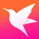 世界杯“海信现象”透视 感受10年“慢变量”